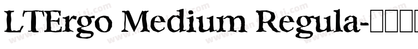 LTErgo Medium Regula字体转换